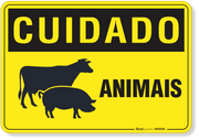 Placa Cuidado Animais