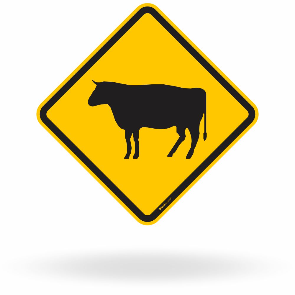 Placa Animais (A-35)
