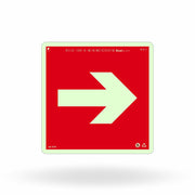 Placa Complementar "Seta" Fotoluminescente E14 com ColorAdd
