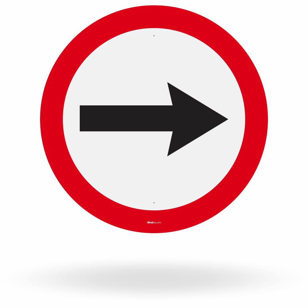 Placa Sentido de Circulação da Via ou Pista (R-24a)