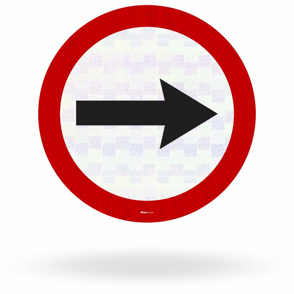 Placa Sentido de Circulação da Via ou Pista (R-24a)