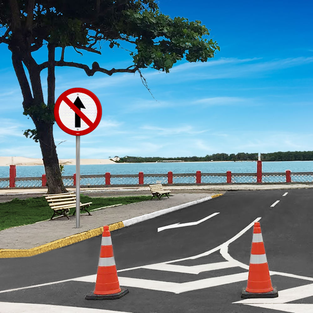 Placa Sentido Proibido (R-3)